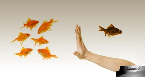 قاعده ی اقلیتِ متعصب در سیستم های اجتماعی